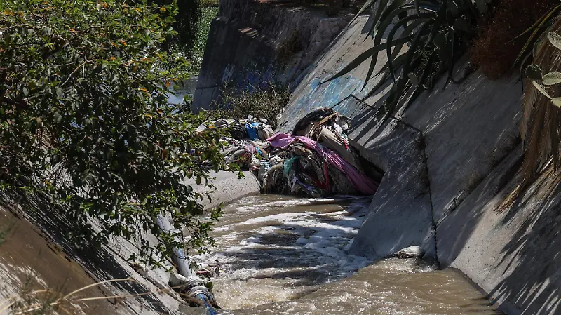 En el abandono, humedal de Cuautepec en GAM